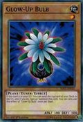 Glow-Up Bulb - SDCL-EN021 - Common
