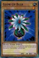Glow-Up Bulb - SDCL-EN021 - Common
