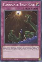 Floodgate Trap Hole - SDBT-EN032 - Common