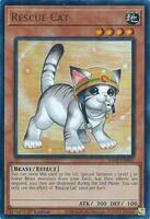 Rescue Cat (Alternate Art) - RA02-EN001 - Ultra Rare