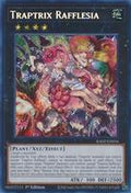 Traptrix Rafflesia - RA02-EN034 - Secret Rare